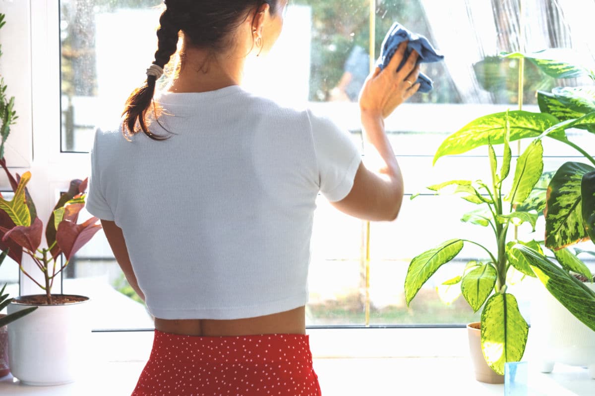 Spring Cleaning Tips